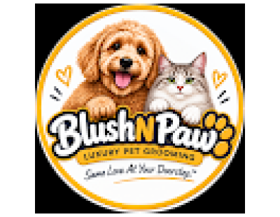 Dog Grooming in Dubai for a Clean and Healthy-Looking Coat