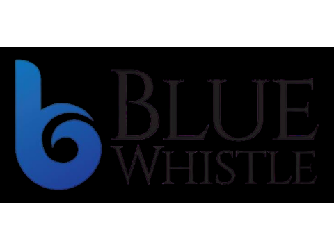 Blue Whistle – Creative Video Advertising for Business Promotion