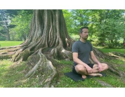 Begin Your Metamorphosis with Personal Growth Coaching