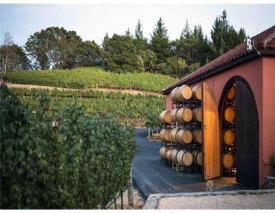 Winery Tour Napa Vineyards | Tour Napa Sonoma Wines, LLC