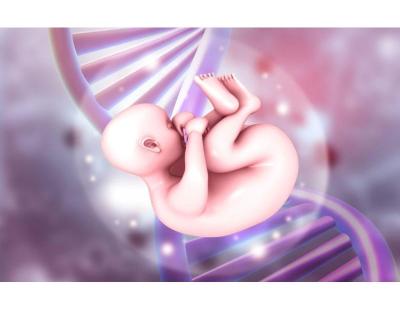 Immune Fertility Testing in Delhi for Better Fertility Insights