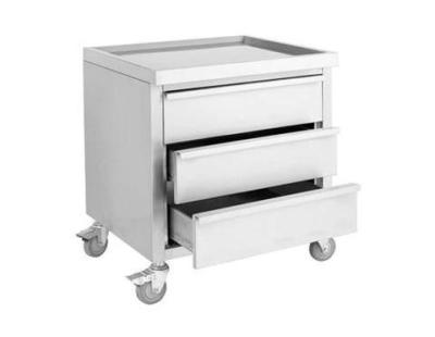Mobile Stainless Steel Cabinets for Flexible Commercial Kitchens