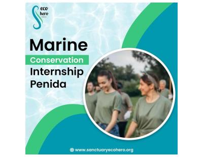 Marine Conservation Internship Penida