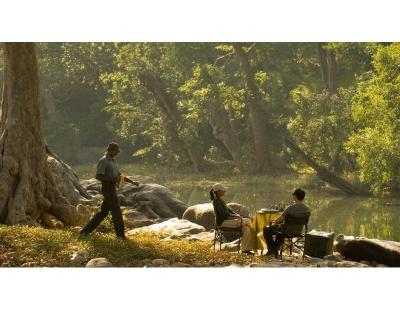 Book Your Kanha National Park Holiday with Odyssey Travels