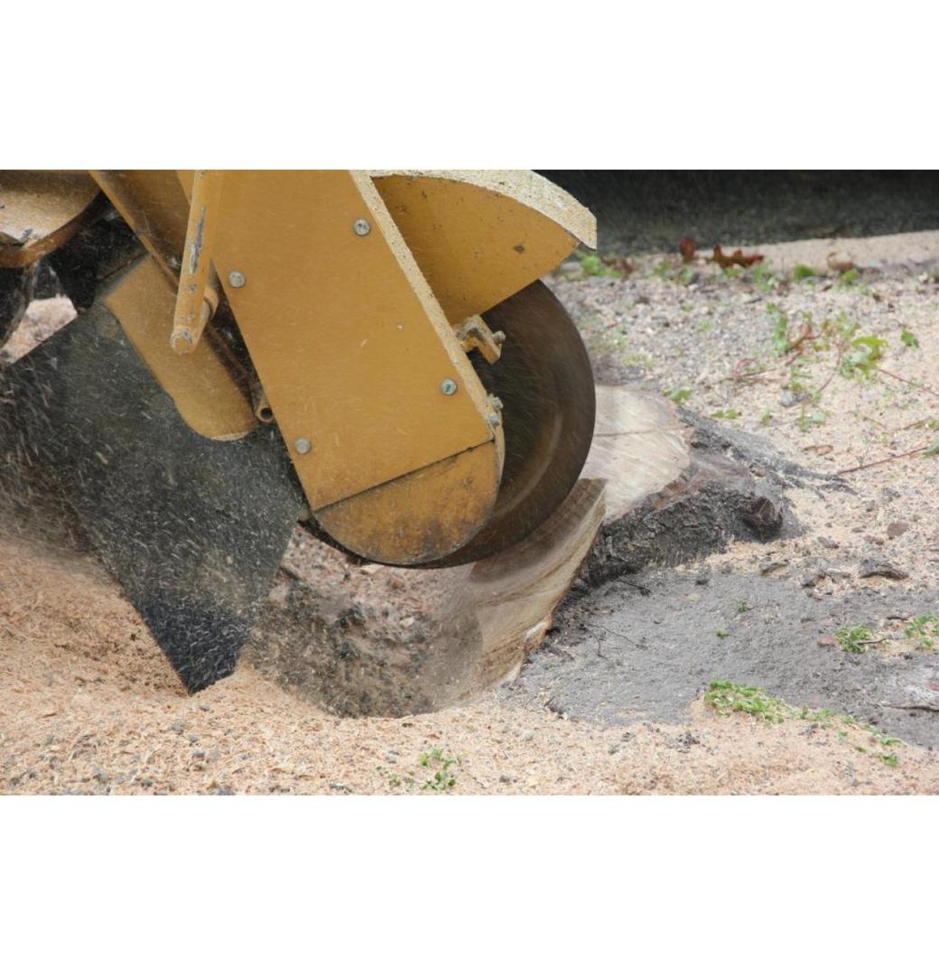 Stump Grinding Wisemans Ferry