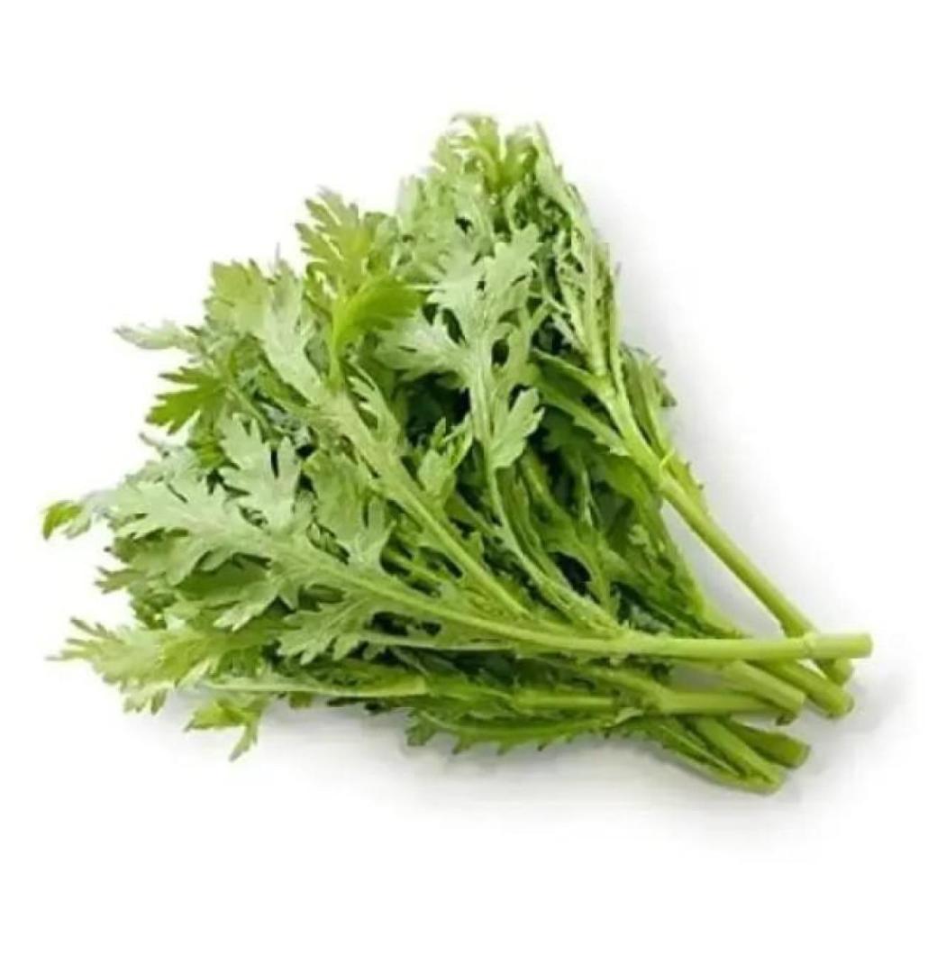 Grow Healthy Crown Daisy Plants from Seeds - The Edible Chrysanthemum - 2/2