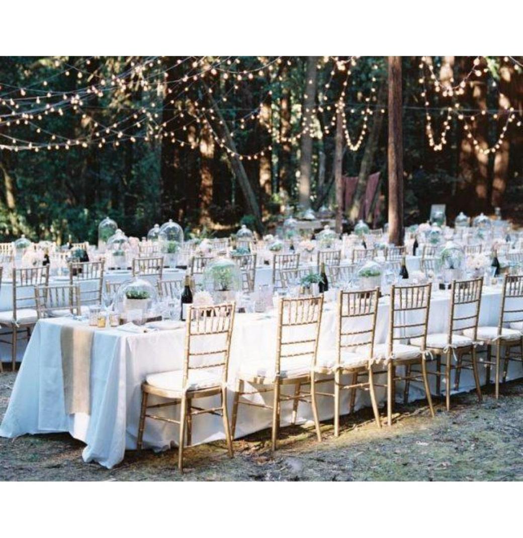 Top Tiffany Chairs: The Ultimate Choice for Classy Events - 1/3