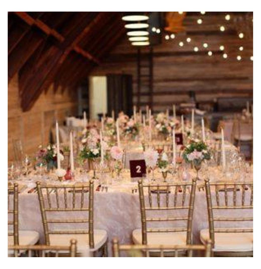 Top Tiffany Chairs: The Ultimate Choice for Classy Events - 2/3