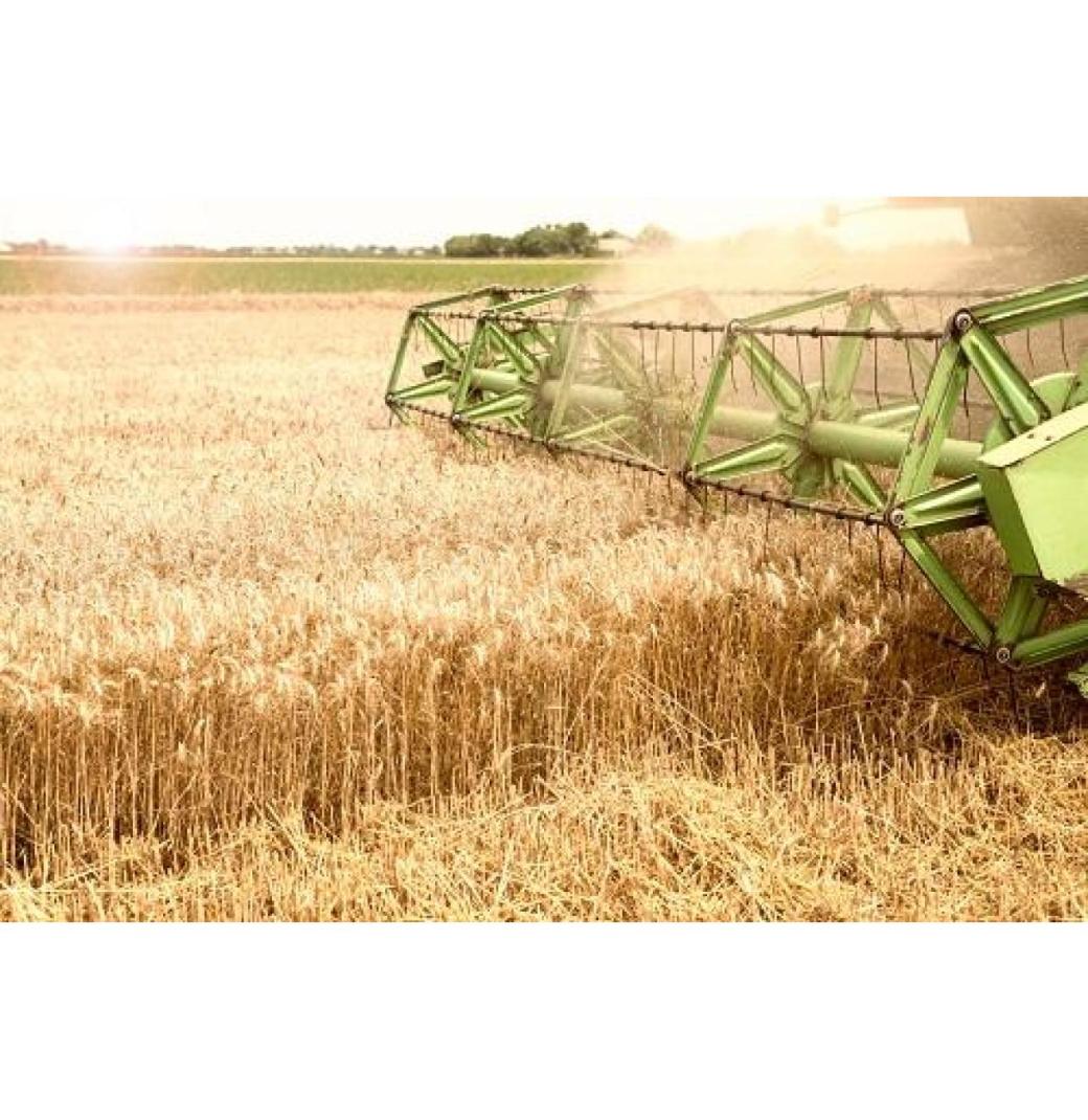 Supercharge Your Productivity with AI-Powered Grain Processing Machine