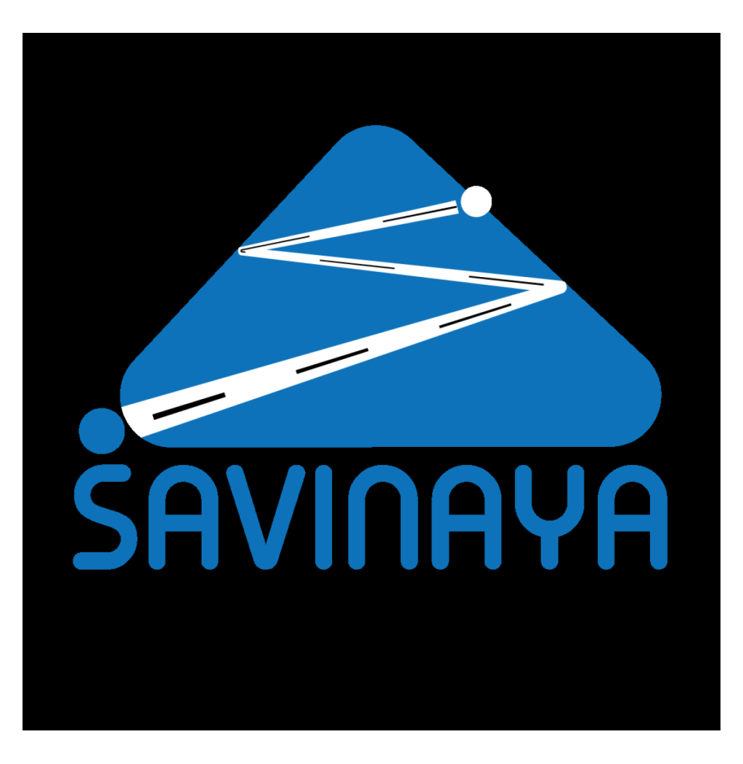 Leading Soil Nailing Contractor for Infrastructure Stability