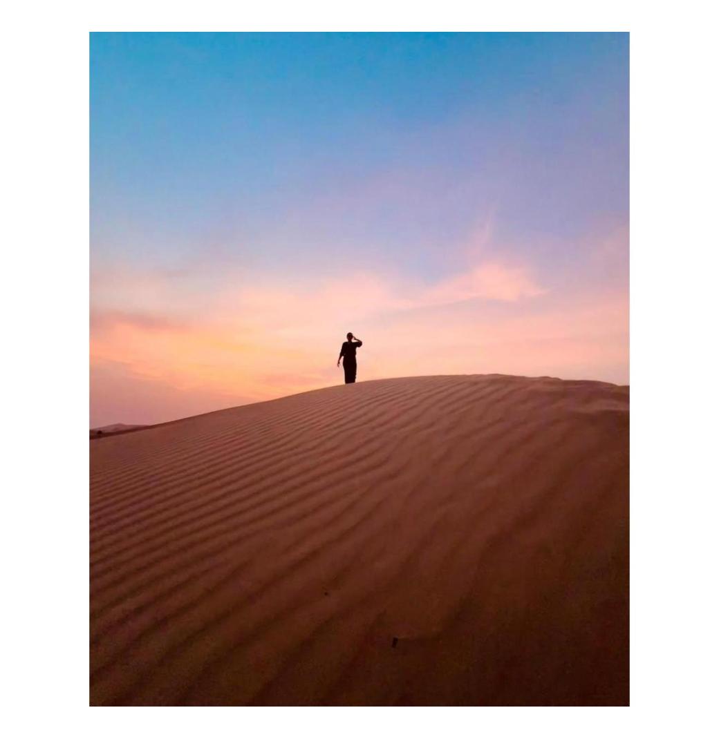 Dubai Urgent Visa Services by Arabiers: Fast & Hassle-Free Processing - 2/3