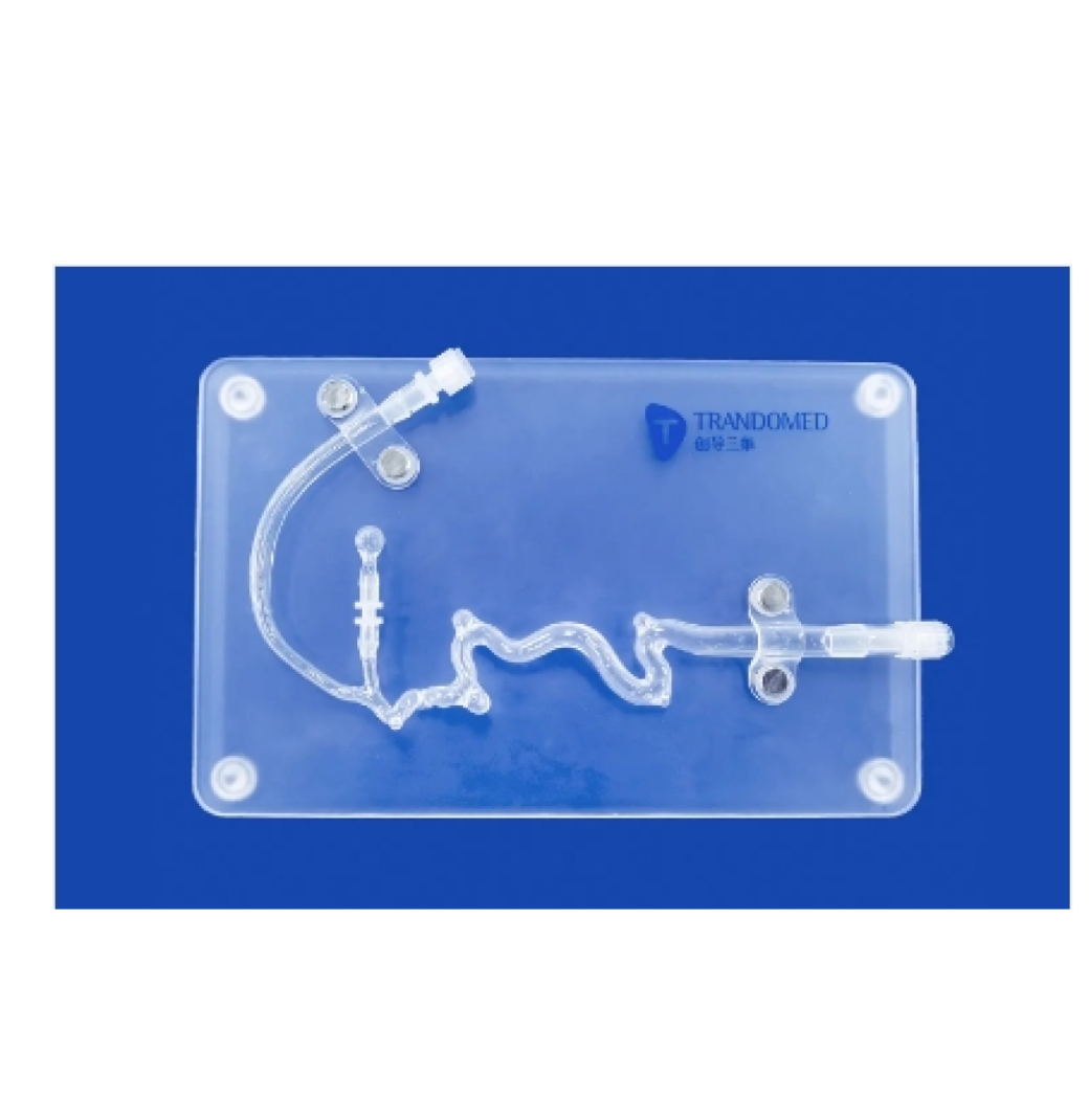 Aneurysm Model