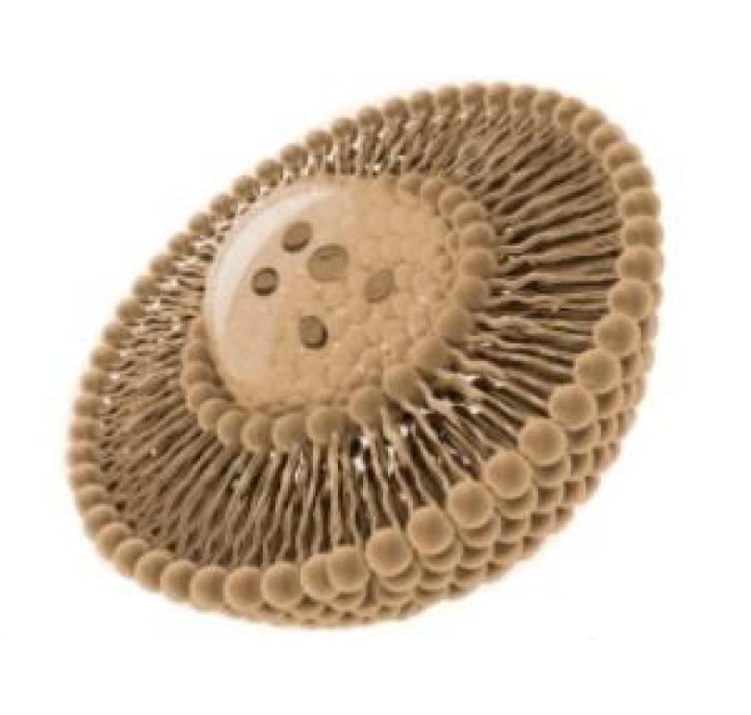 Liposomal Vitamin D3 Manufacturers