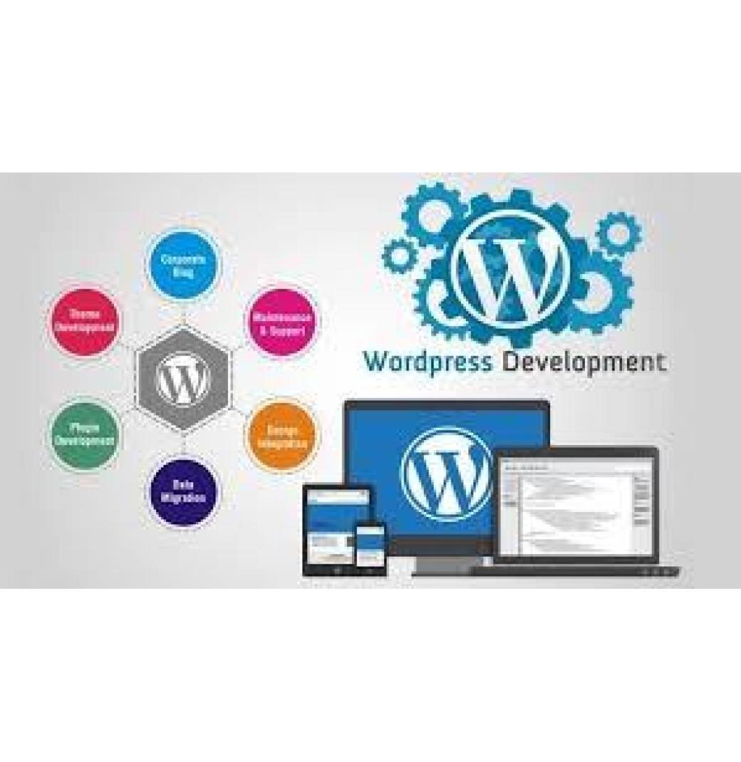 Best WordPress Development Company in India with Powerful Custom Features