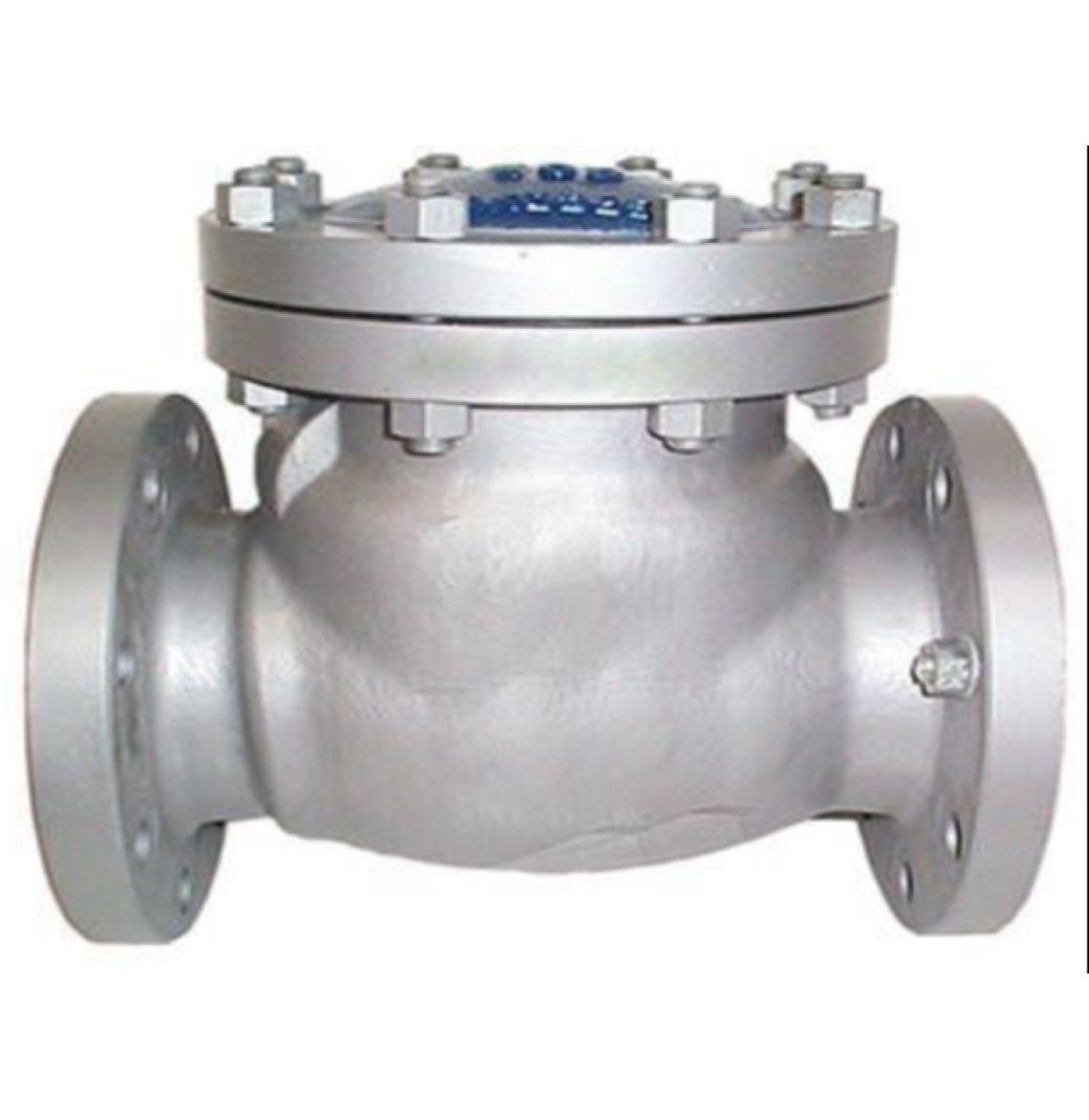 Hastelloy Check Valve