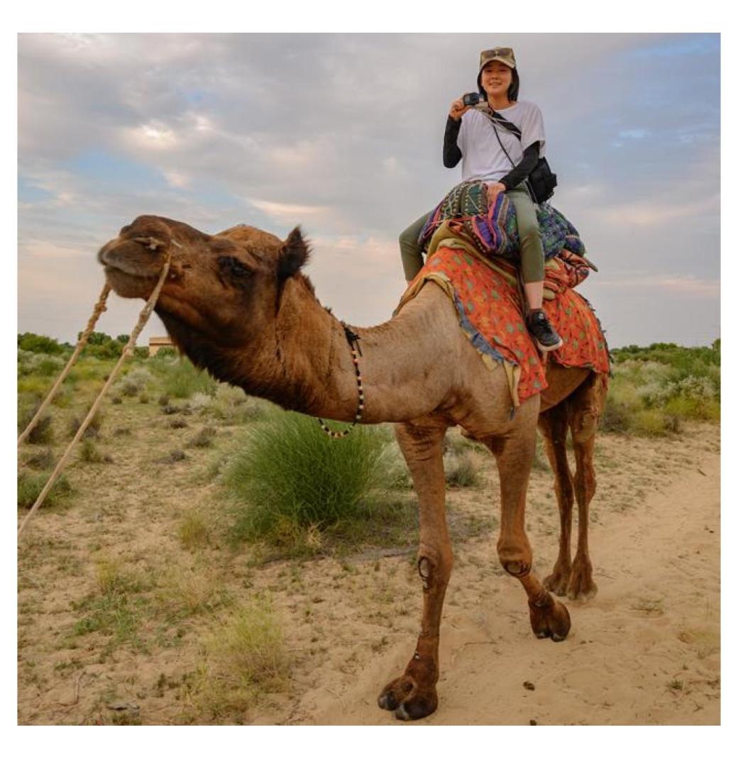 Desert Camp Package In Jaisalmer - 3/3