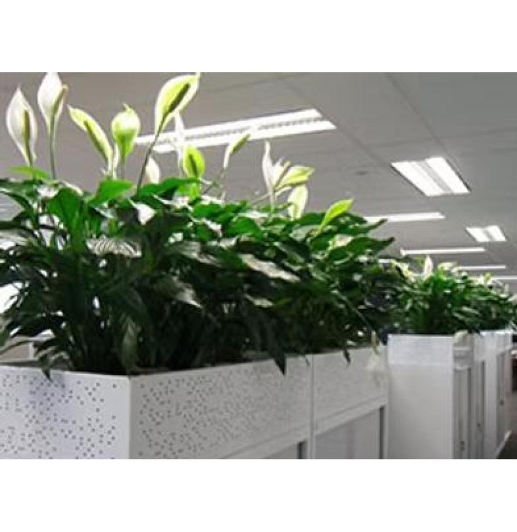 Maintain a Beautiful Garden with Our Garden Care Services – Greenlands