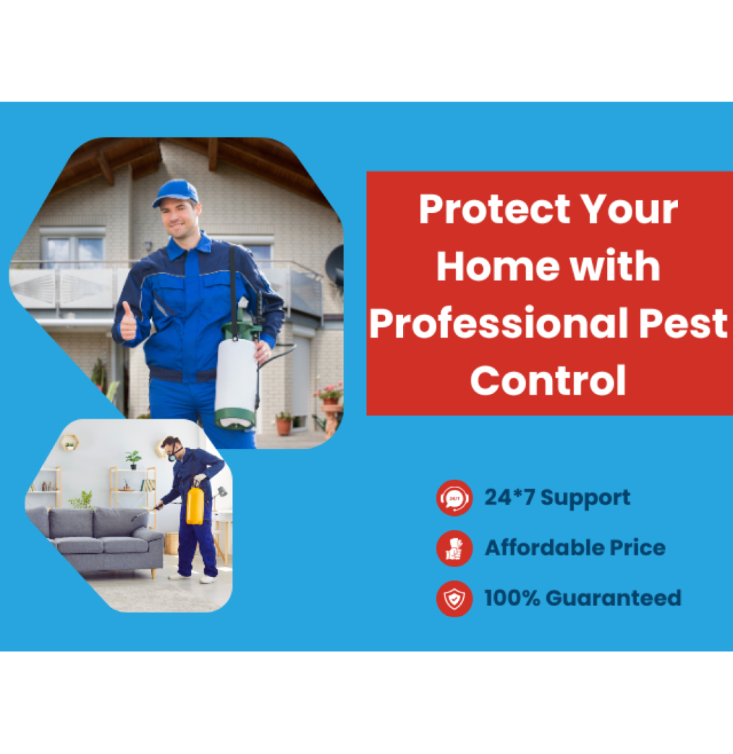 Say Goodbye to Pests – Same Day, Every Day in Toorak