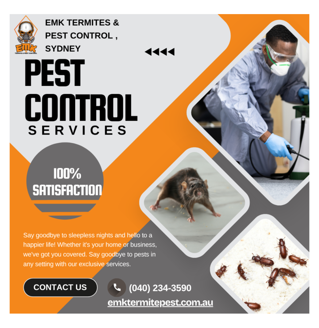 Termite Pest Control Sydney - 2/2
