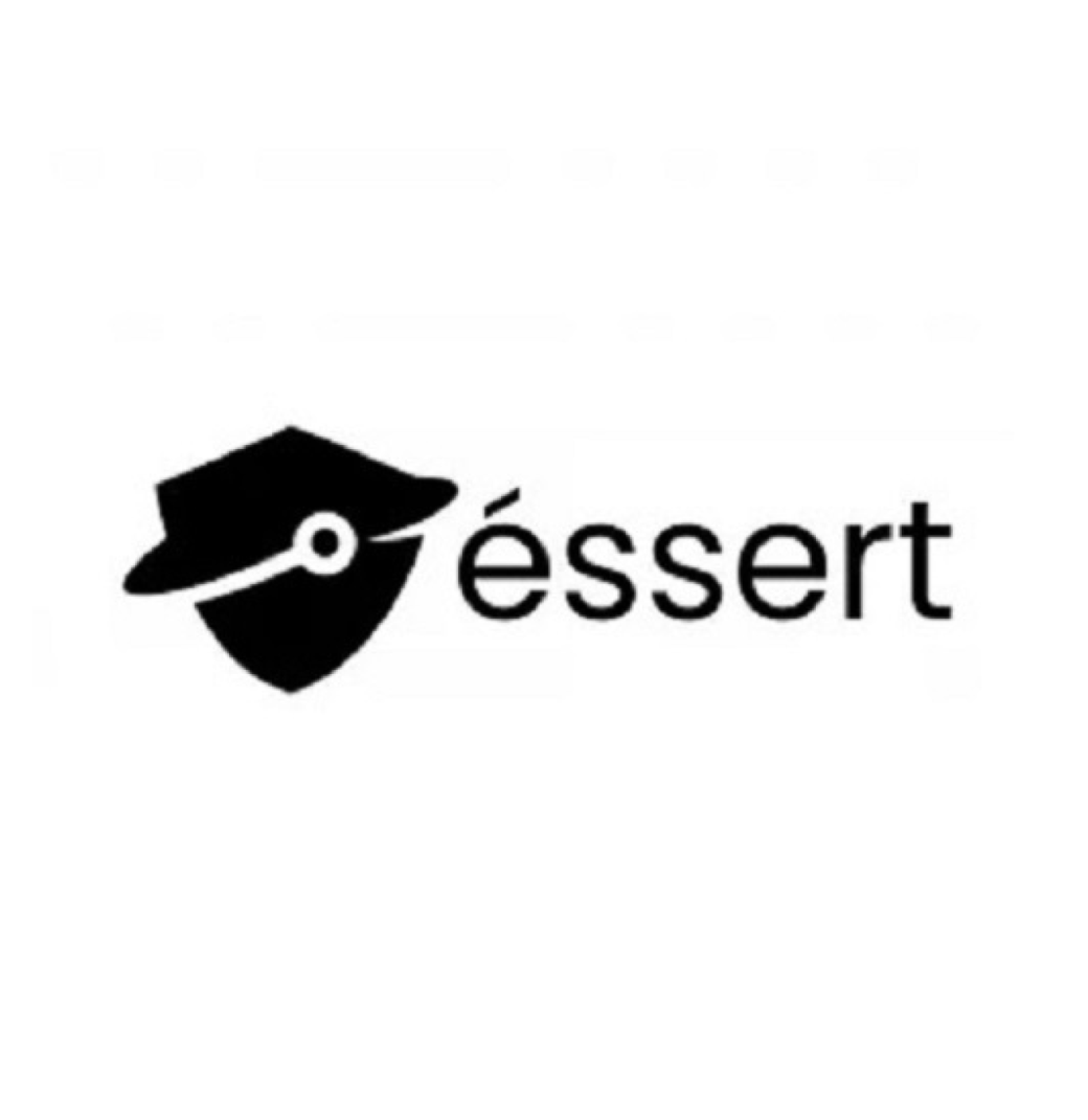SEC Guidelines on AI Governance - Essert Inc