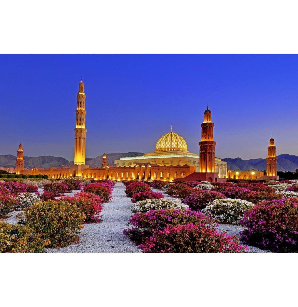 Oman Tour Packages from India - Book Your Dream Vacation Today!