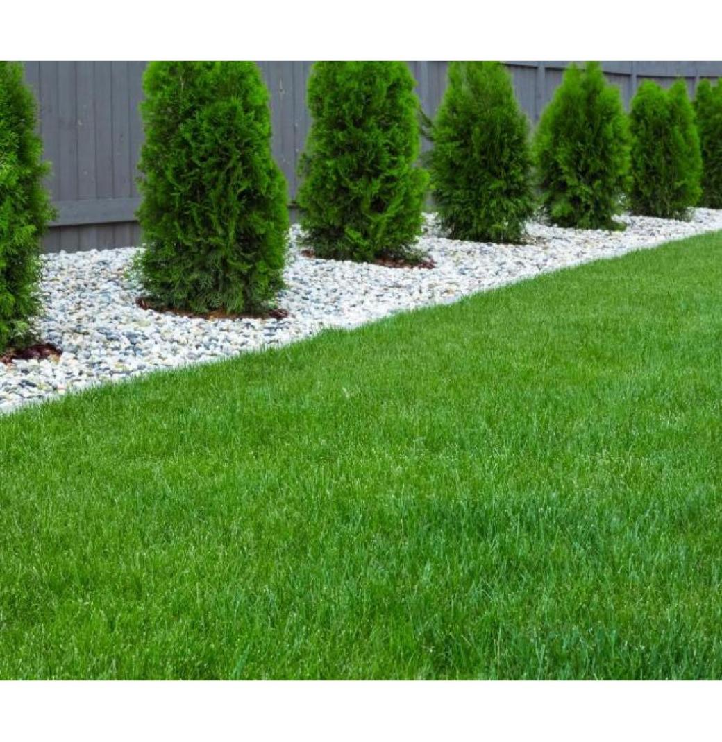 Best Artificial Grass Perth Available Now