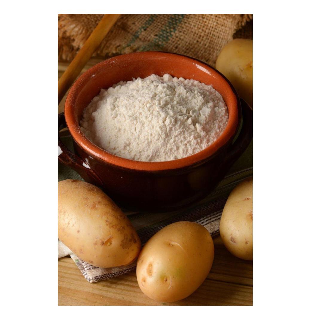 Trusted Potato Starch Suppliers in India | Santosh Starch Limited