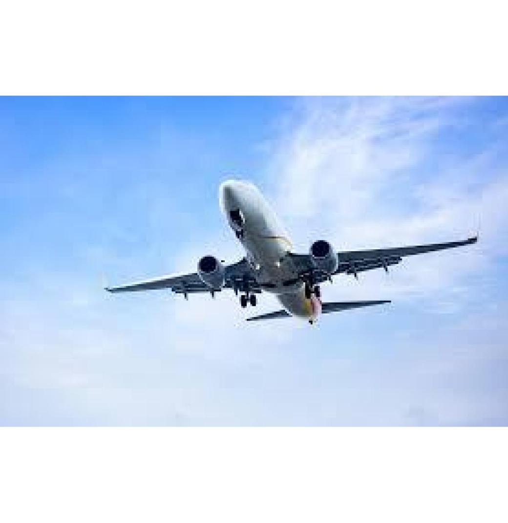 Affordable Flight from Boston to Tampa