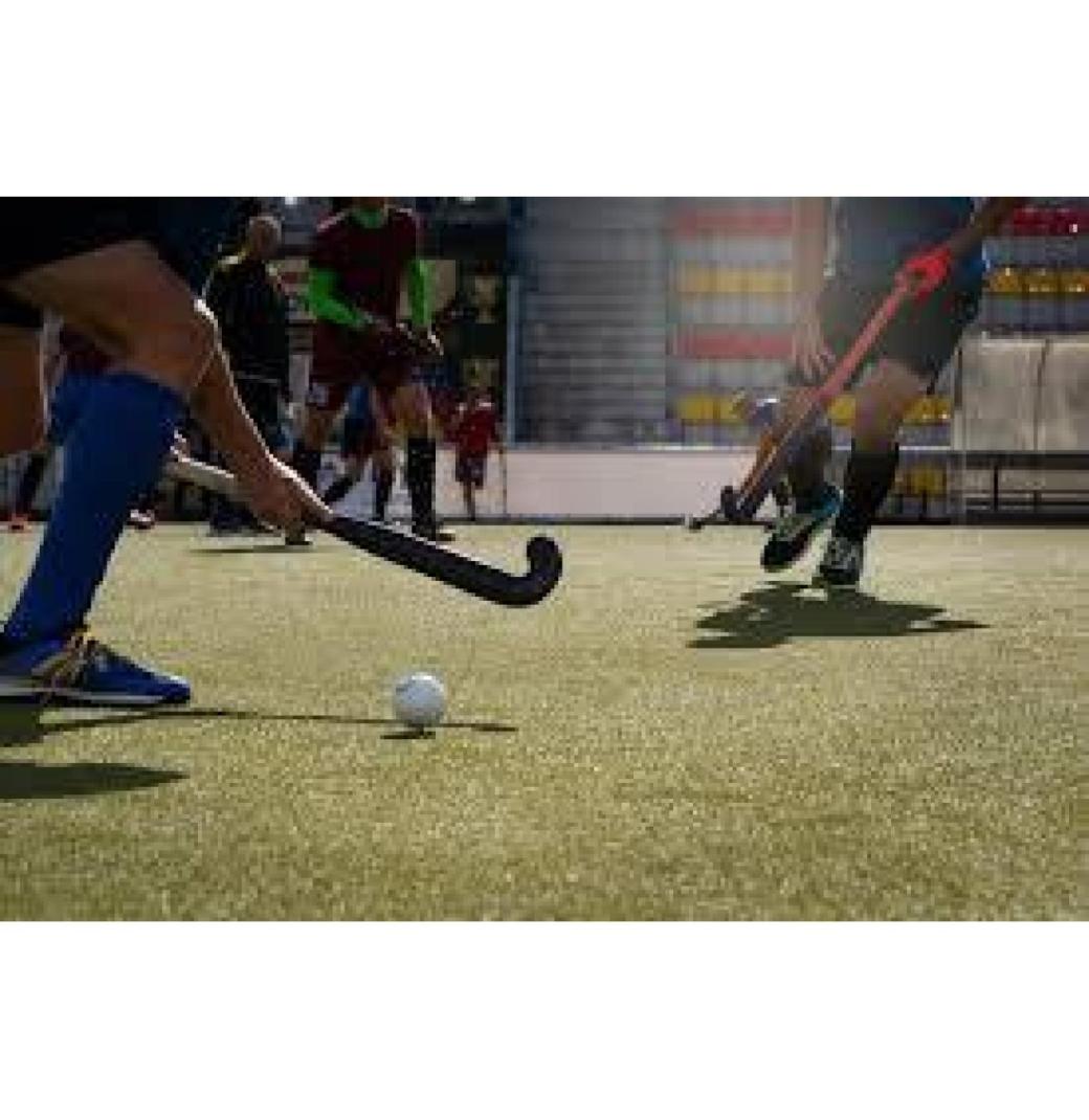 Buy High-Quality Artificial Hockey Turf -  Play Like a Pro