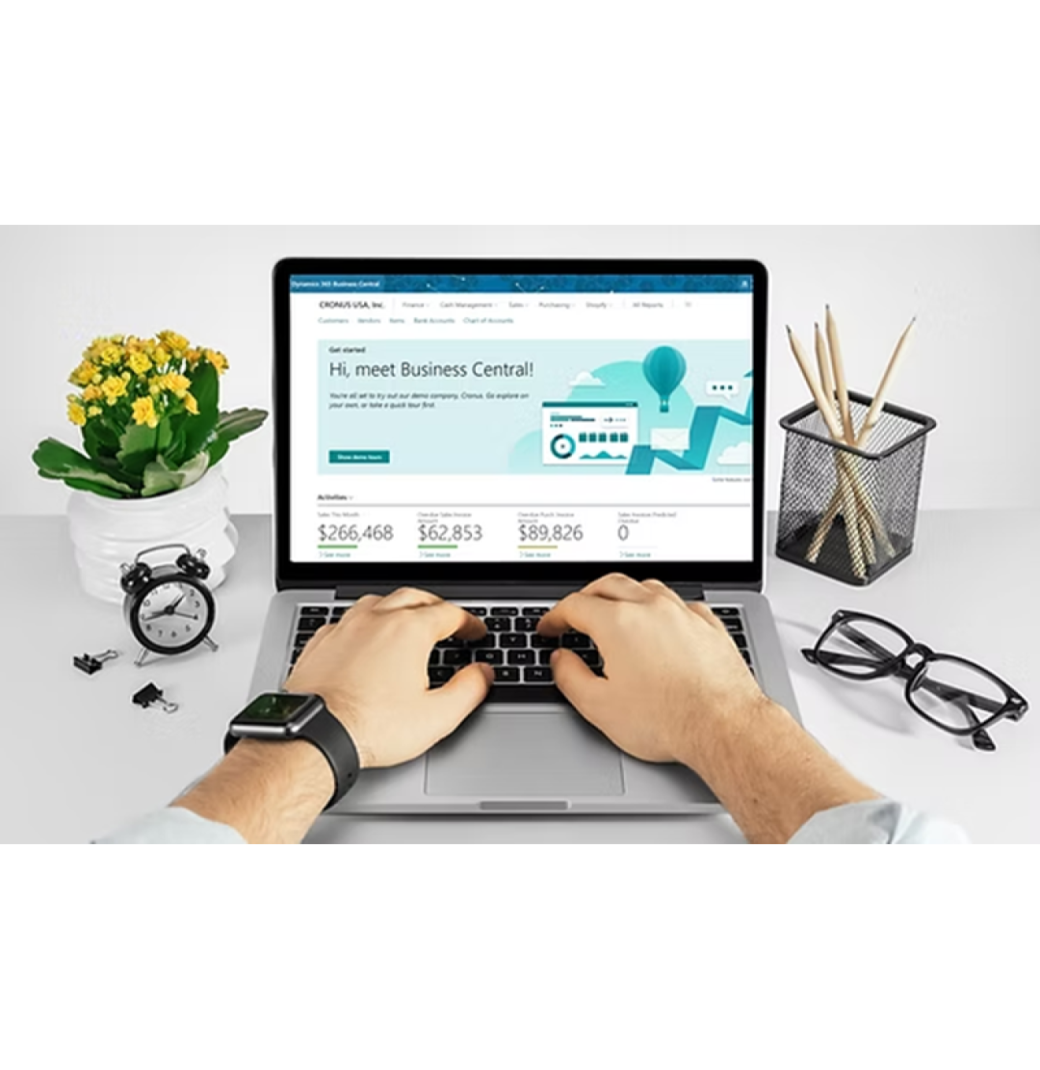 Microsoft Dynamics 365 Business Central – Installation & Customization