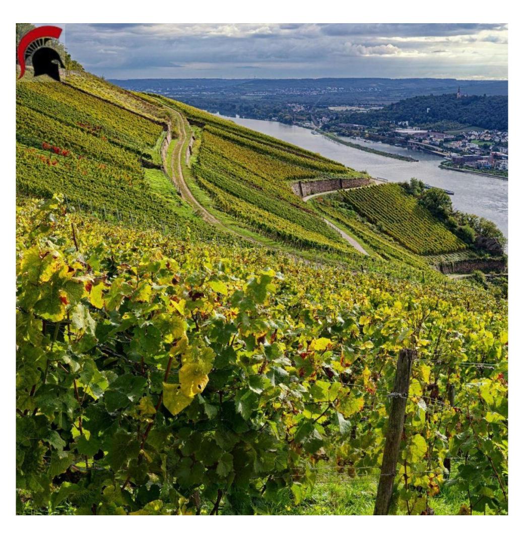 Best Wineries in Mclaren Vale - Curtis family vineyards