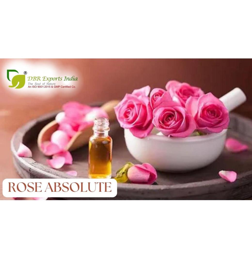 Best Absolute Oil for Aromatherapy and Skincare