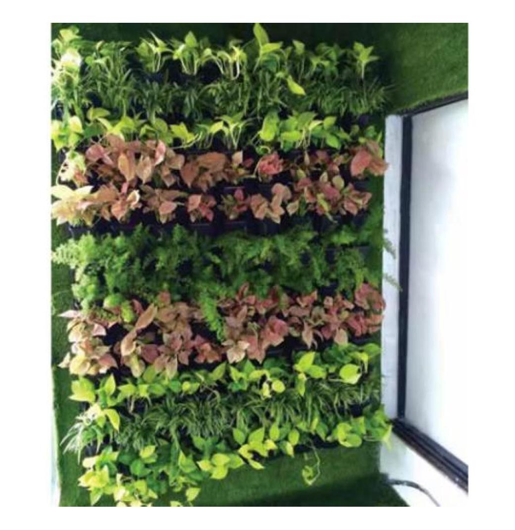 Trusted Green Wall Vendors in Mumbai – Greenlands India 