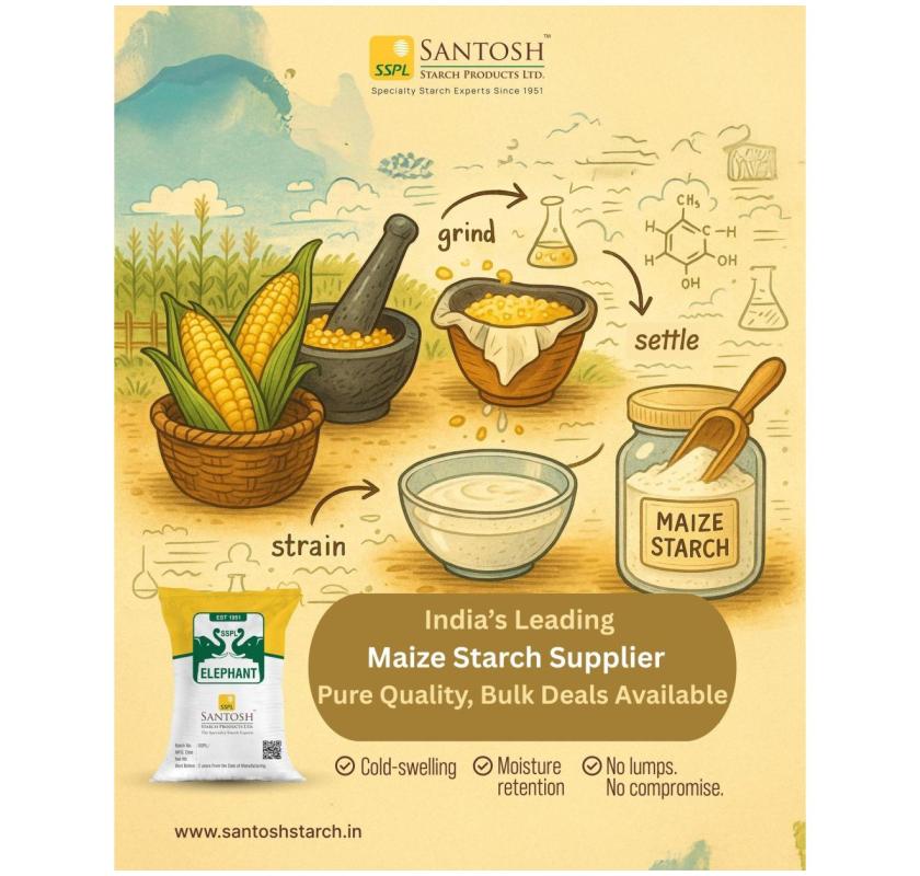 India’s Leading Maize Starch Supplier Pure Quality, Bulk Deals Available