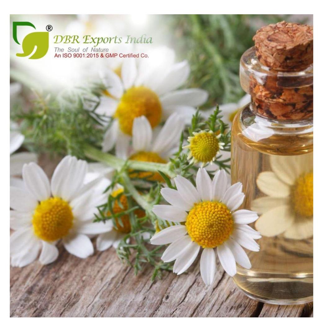 Buy Chamomile German Oil – 100% Pure & Natural Extract