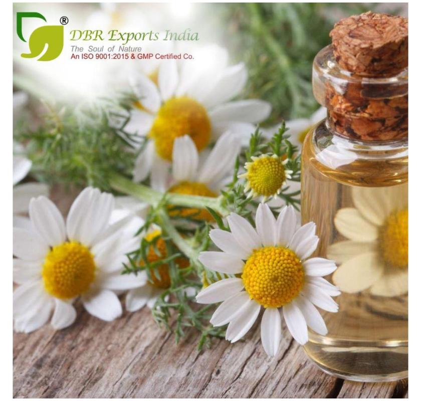 Buy Chamomile German Oil – 100% Pure & Natural Extract