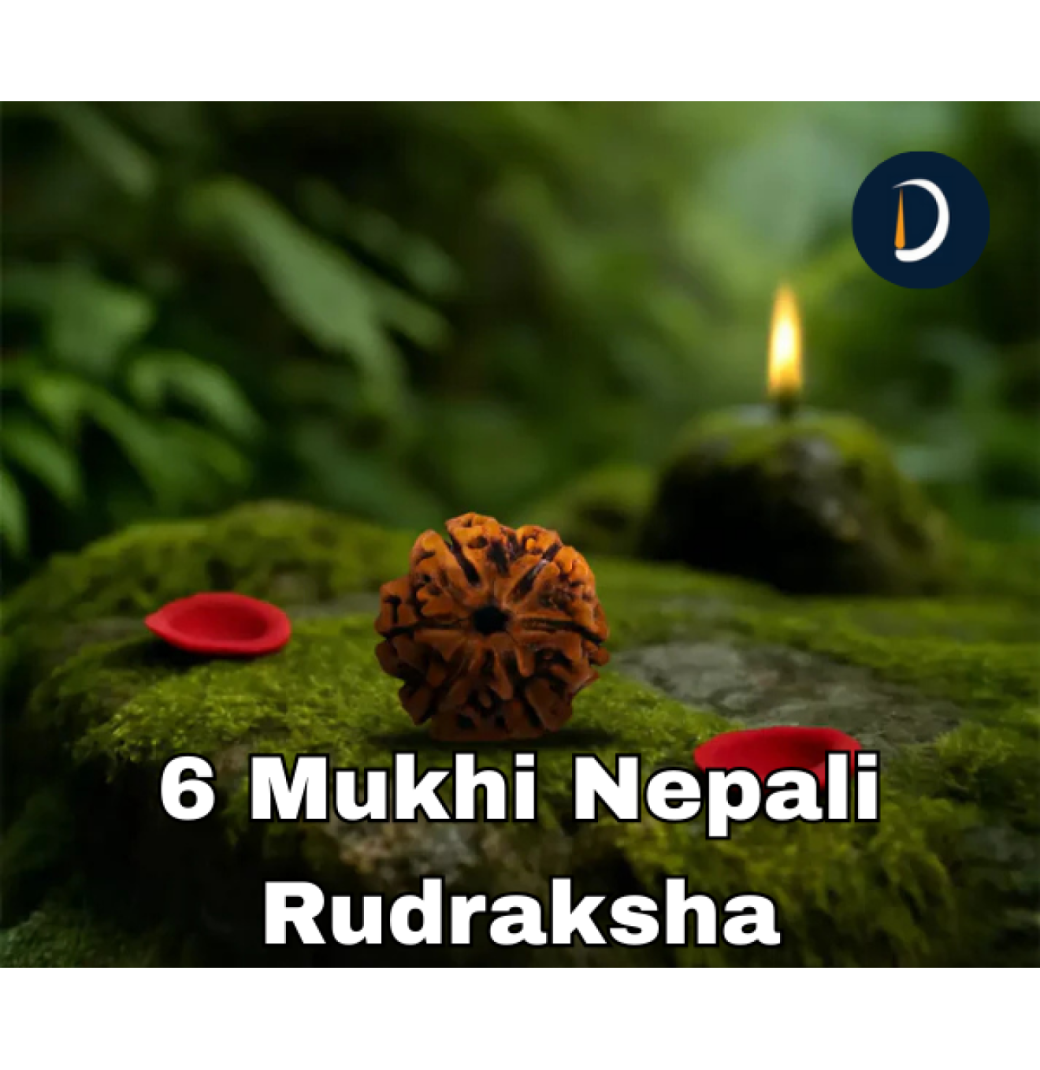 6 Mukhi Nepali Rudraksha  – For Confidence, Focus & Balance