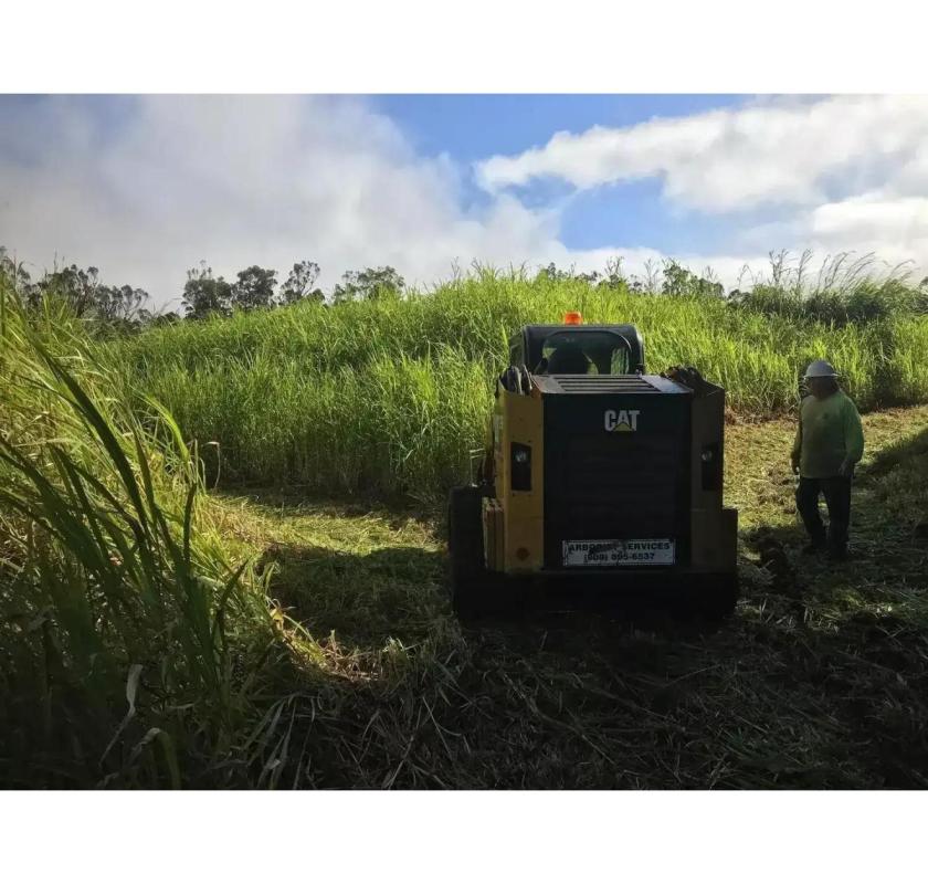 Reliable Hawaii Land Clearing Contractors You Can Trust - Arborist Services 