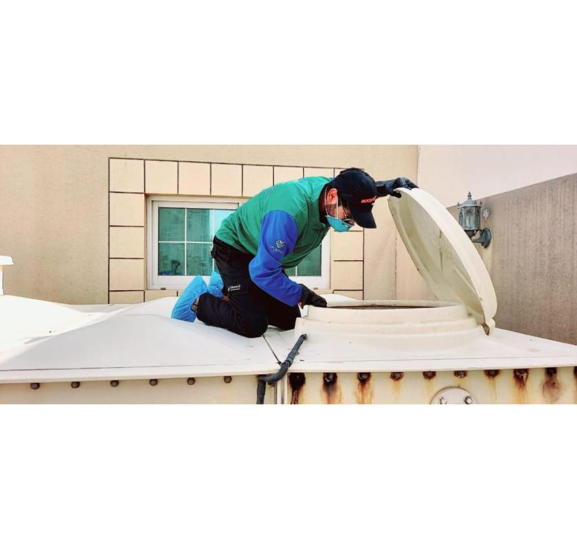 Protect Your Home with Professional Ant Pest Control Services 