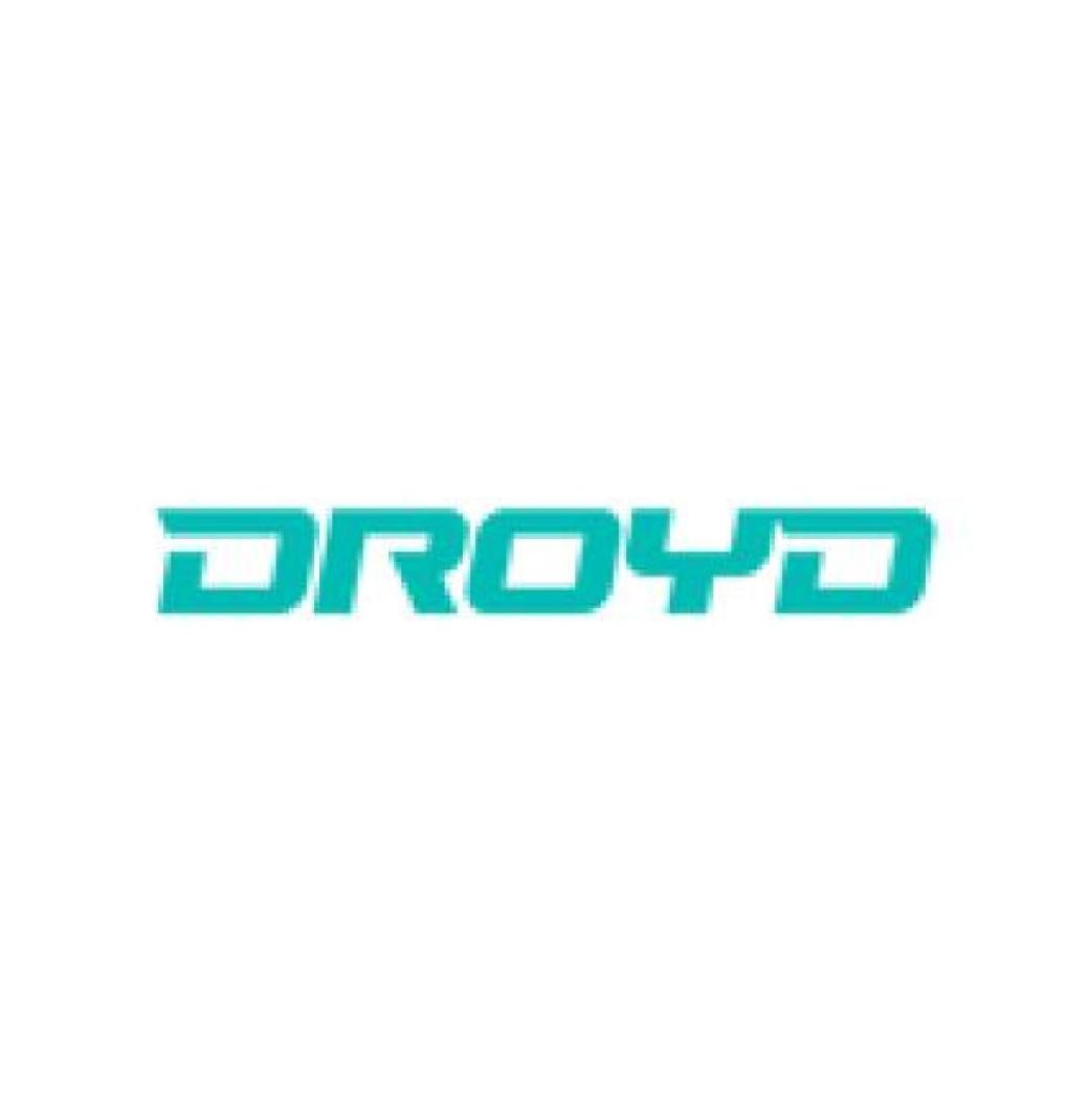 Droyd - 1/3