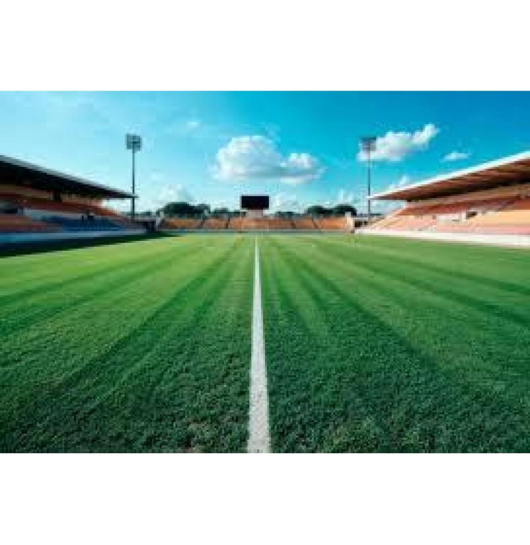 Experienced Cricket Turf Manufacturer - Contact Us