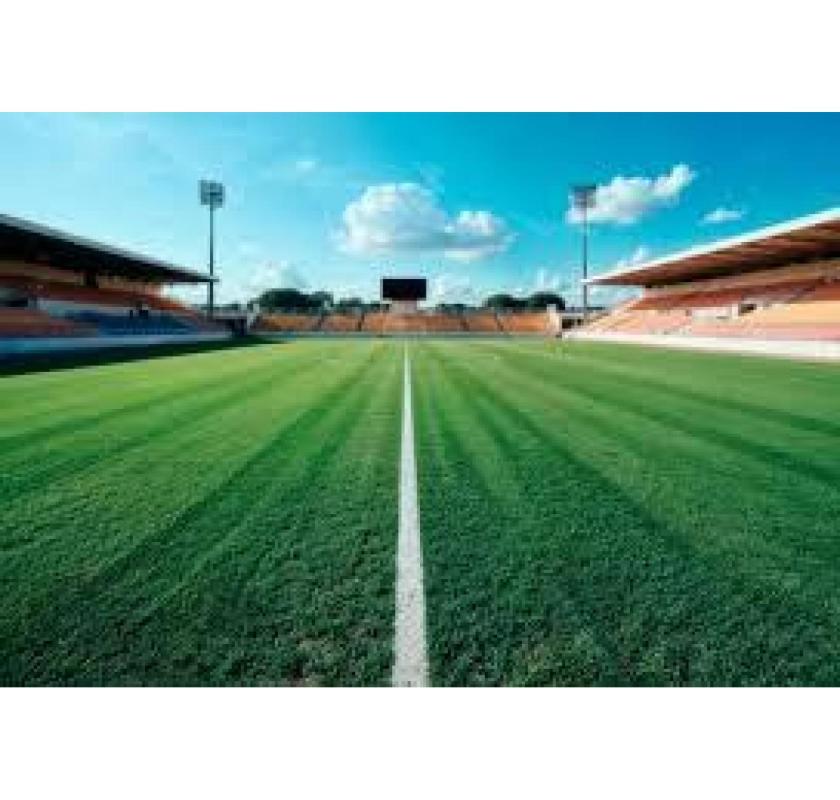 Experienced Cricket Turf Manufacturer - Contact Us