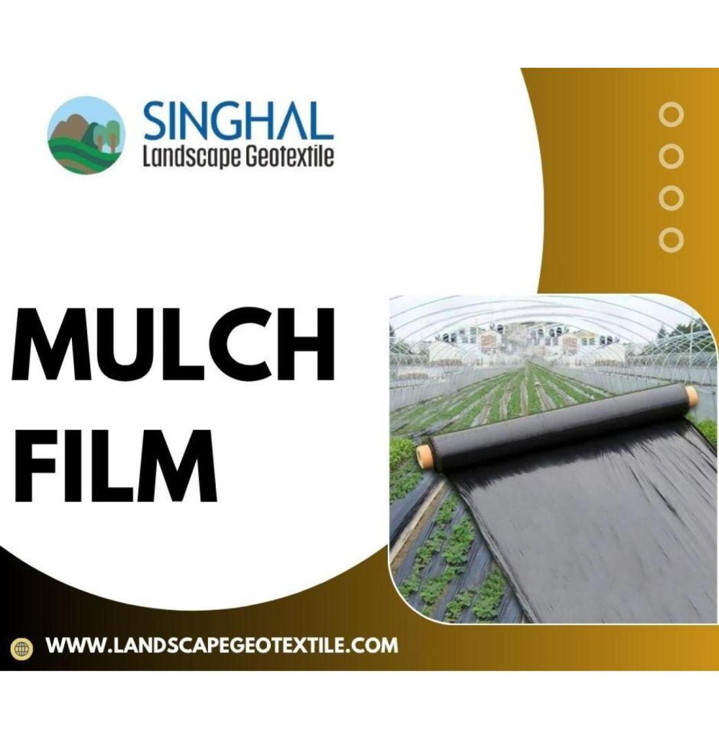 Red Mulch Film & Biodegradable Mulch Film Market Leaders
