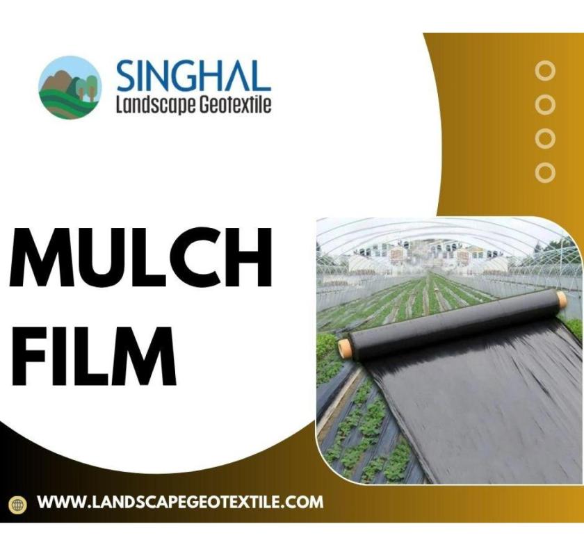 Red Mulch Film & Biodegradable Mulch Film Market Leaders