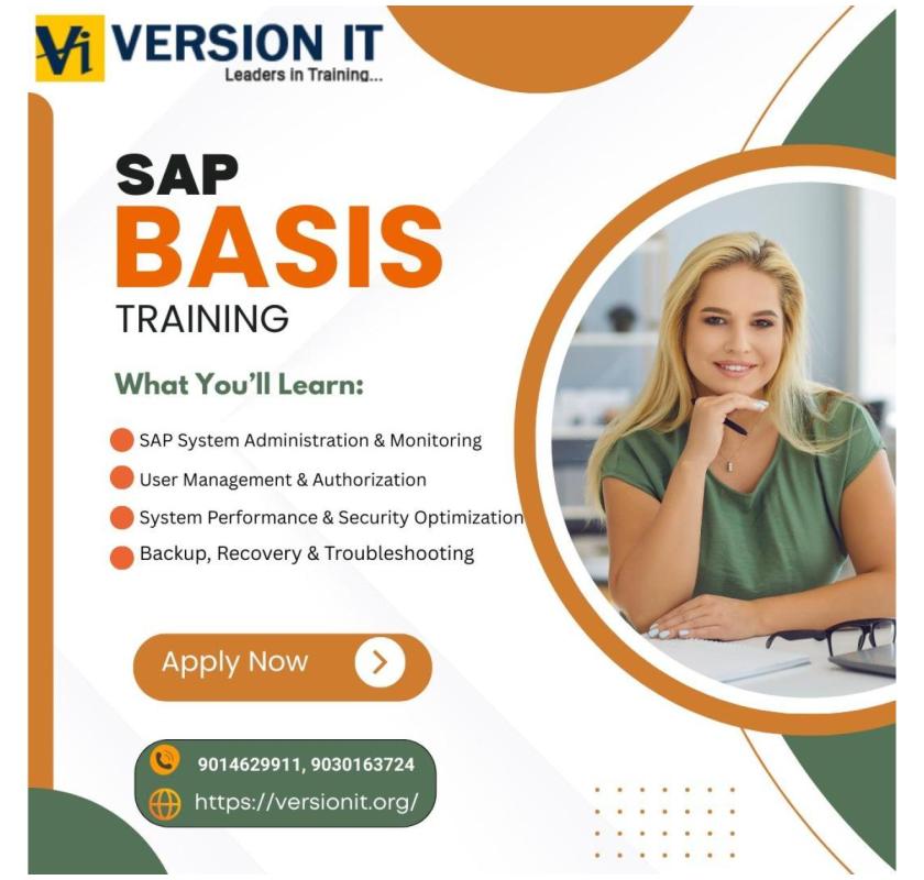 SAP BASIS Training In USA