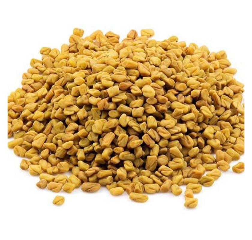 Buy Best Quality Fenugreek (Methi) Seeds Online – SeedVanam