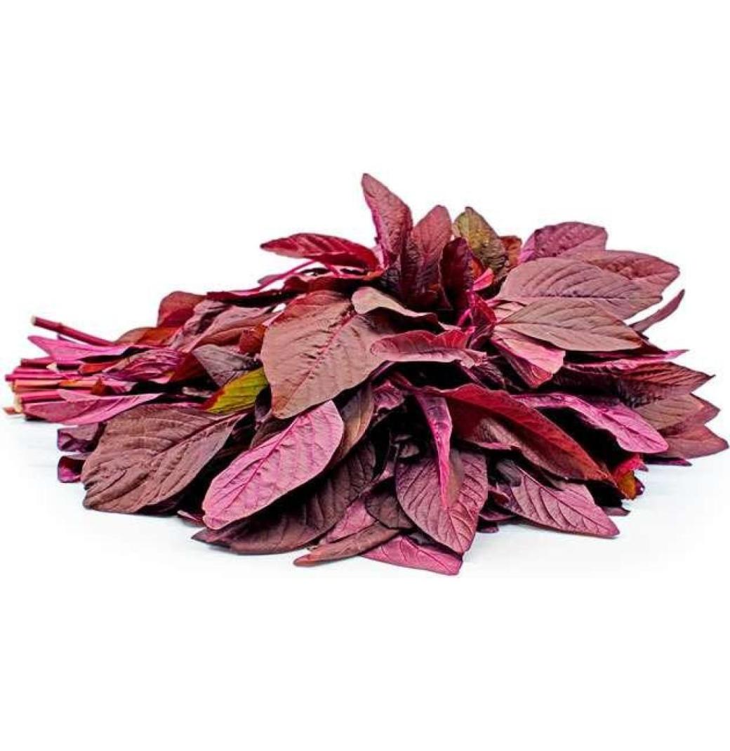 Buy Red Amaranth(Thotakoora) Seeds Online in India | Seedvanam - 3/3