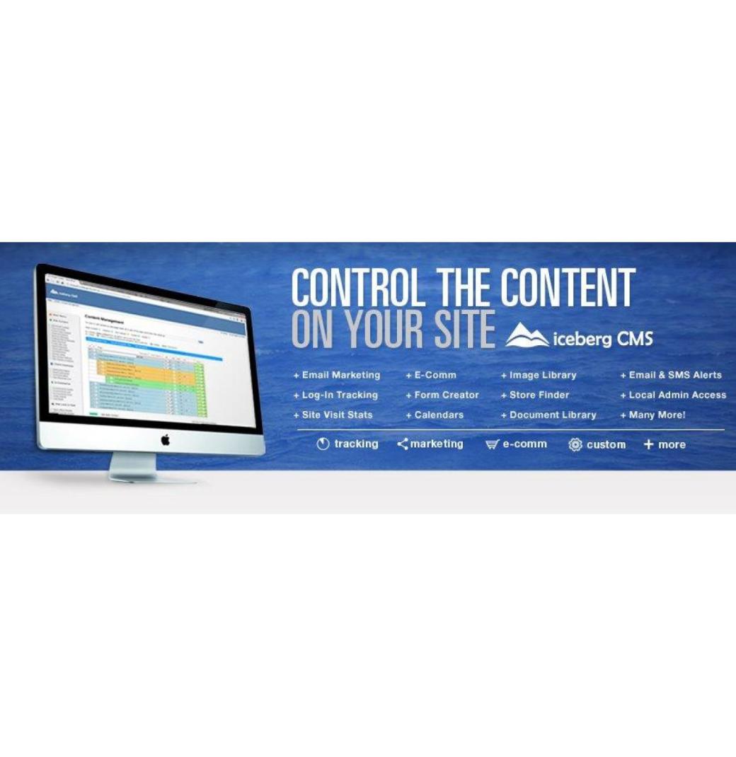 Information Technology & Online Software Development Services
