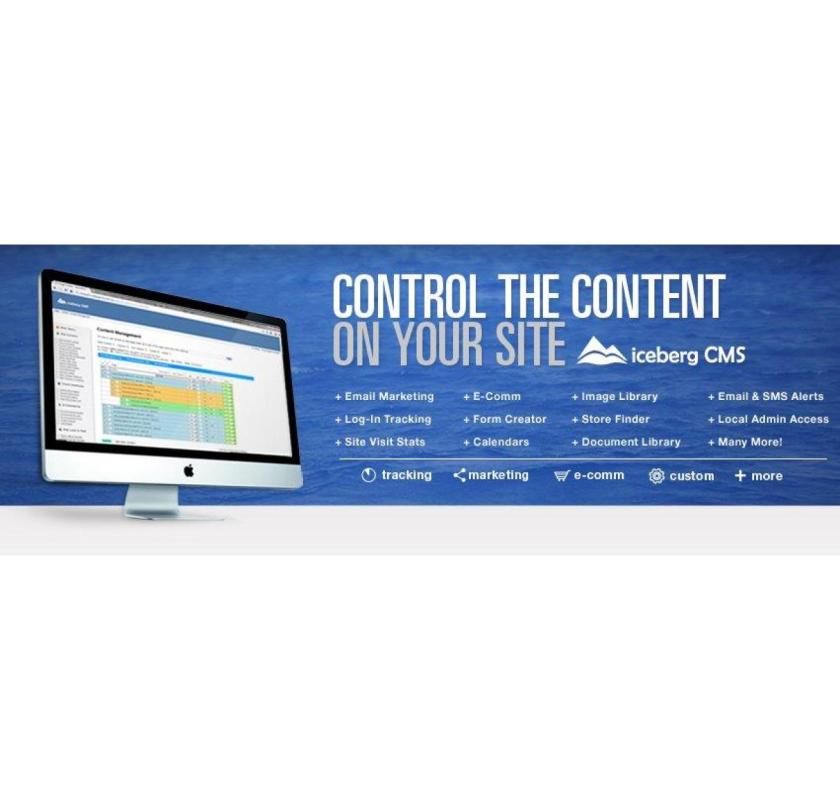 Information Technology & Online Software Development Services