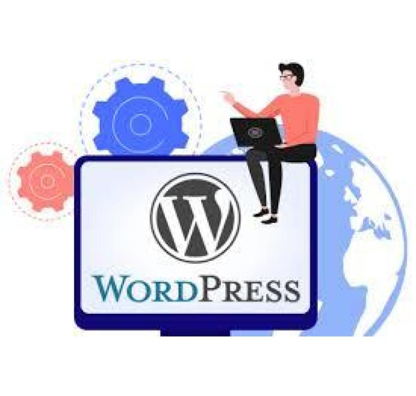 Choose Best Website Development Company in Delhi for Secure Websites